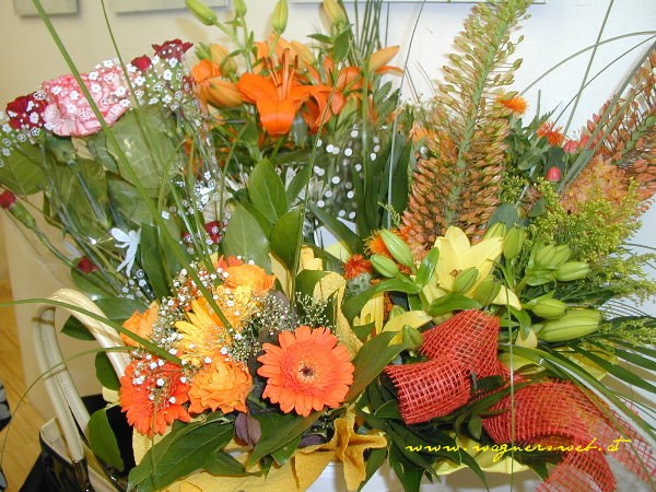 TONY&acute;S GEBURTSTAG