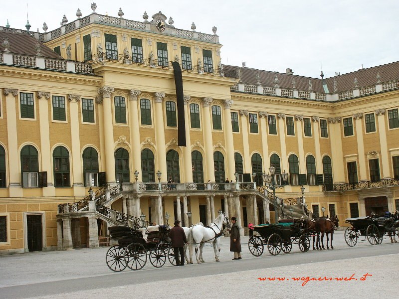 Vienna Sightseeing - Dopp/Zoll in Wien