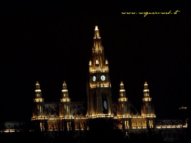 SILVESTERPFAD - WIEN - 2005