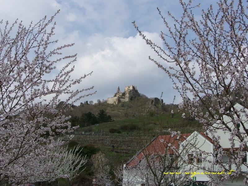 Wachau - Burg D&uuml;rnstein