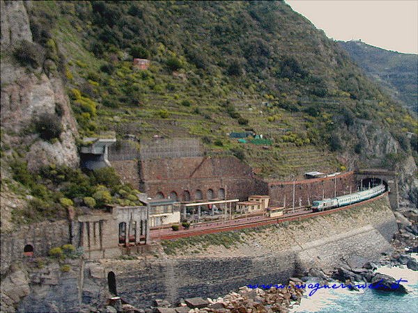 CINQUE TERRE - Manarola