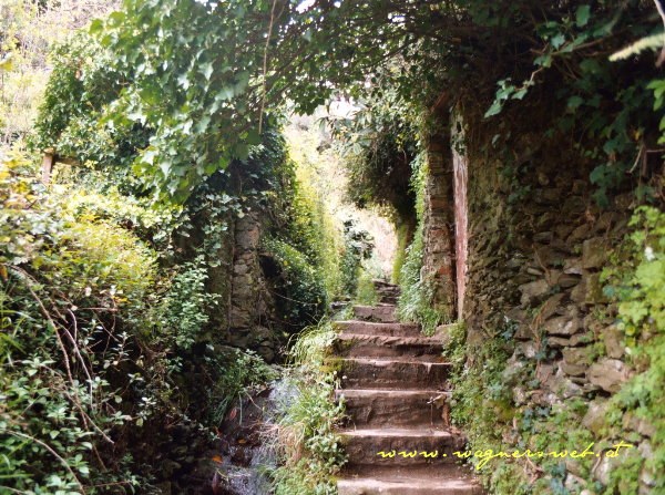 CINQUE TERRE - Weg von Monterosso nach Vernazza