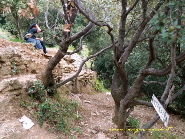 CINQUE TERRE - Weg von Monterosso nach Vernazza