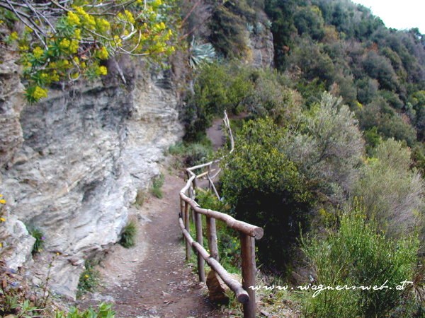 CINQUE TERRE - Weg von Monterosso nach Vernazza
