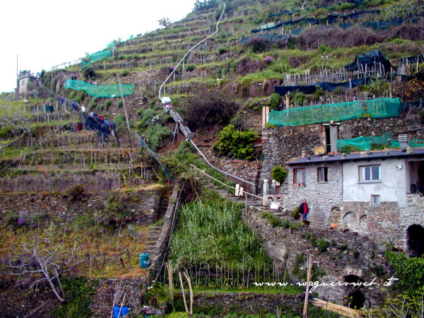 CINQUE TERRE - Weg von Monterosso nach Vernazza