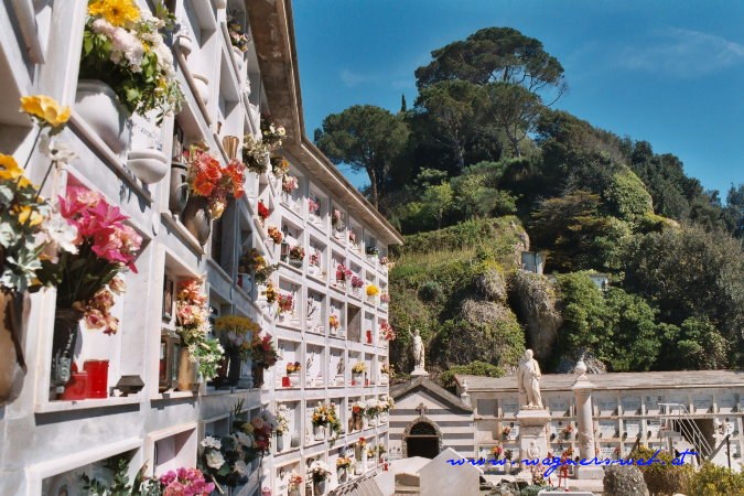 CINQUE TERRE - Portofino