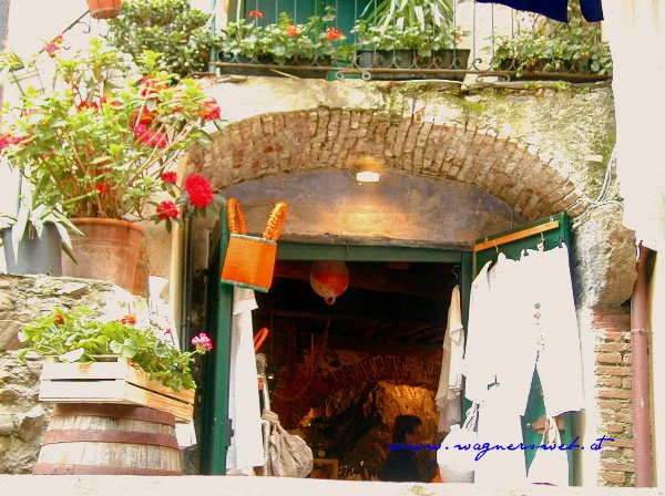 CINQUE TERRE - Vernazza