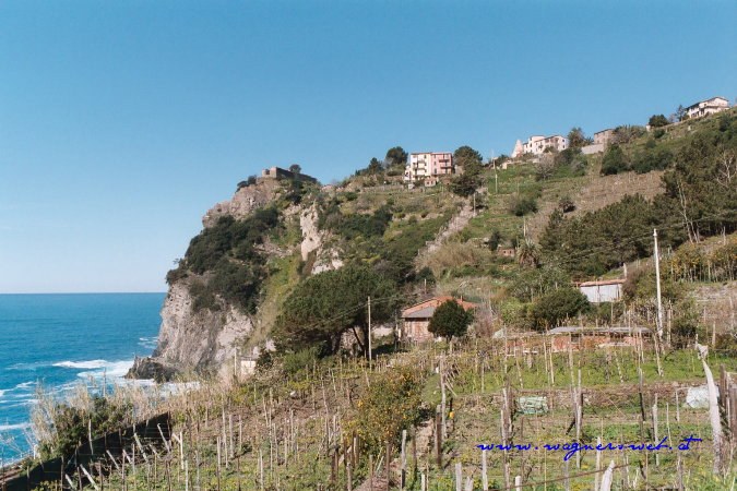 CINQUE TERRE - Corniglia