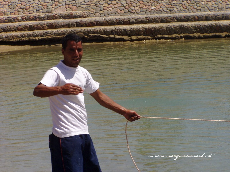 ÄGYPTEN - HURGHADA Er kann das Surfen in 5 Sprachen lehren