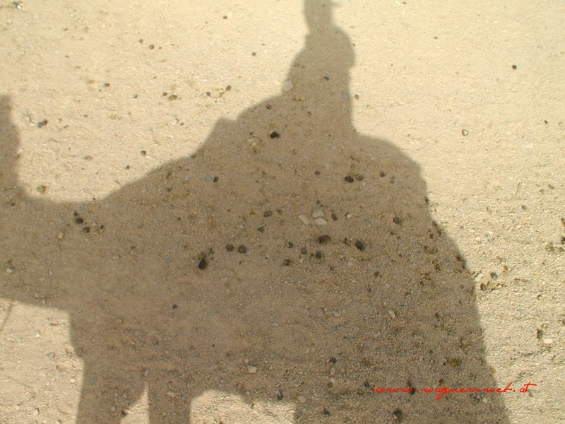 ÄGYPTEN - HURGHADA Blick aus 2m Höhe