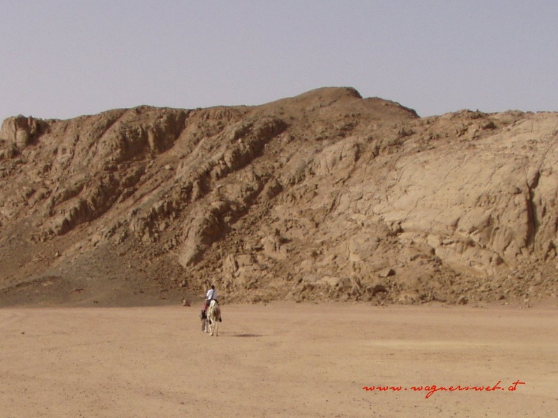 ÄGYPTEN - HURGHADA Lonesome Rider