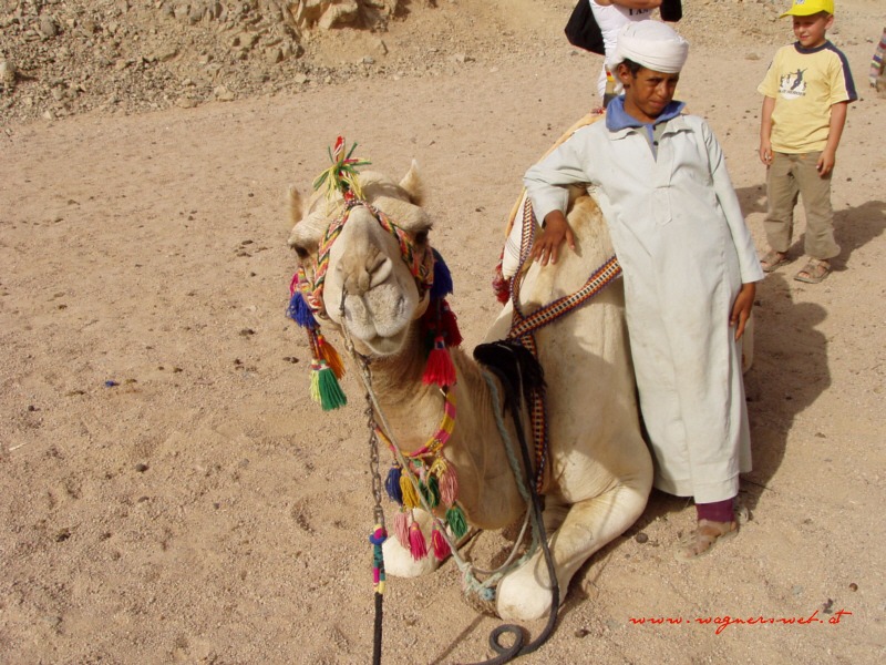 ÄGYPTEN - HURGHADA Ein Lächeln - endlich ist der Kerl herunten