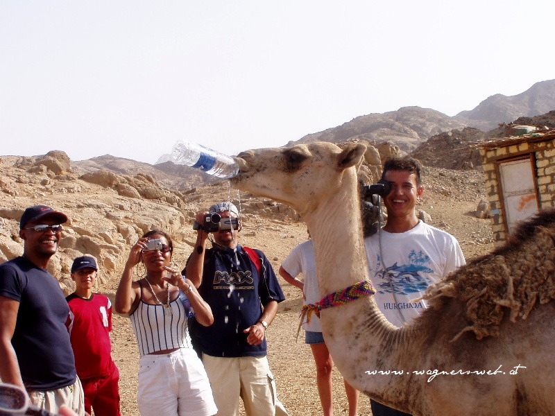ÄGYPTEN - HURGHADA