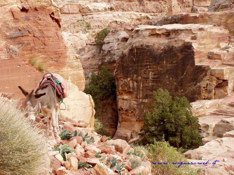 JORDANIEN