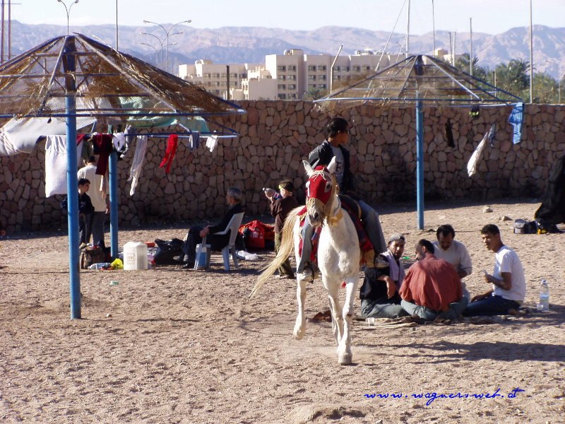 JORDANIEN - Impressionen