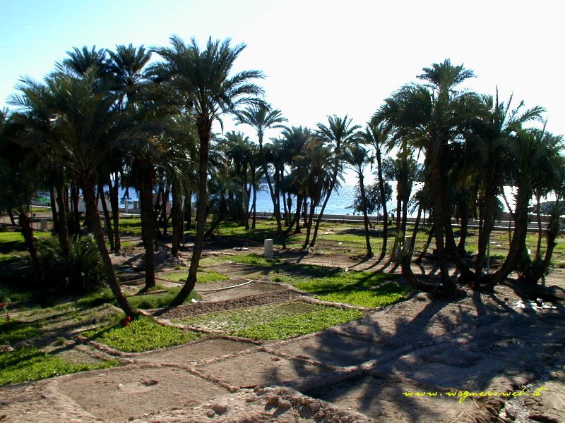 JORDANIEN - Impressionen