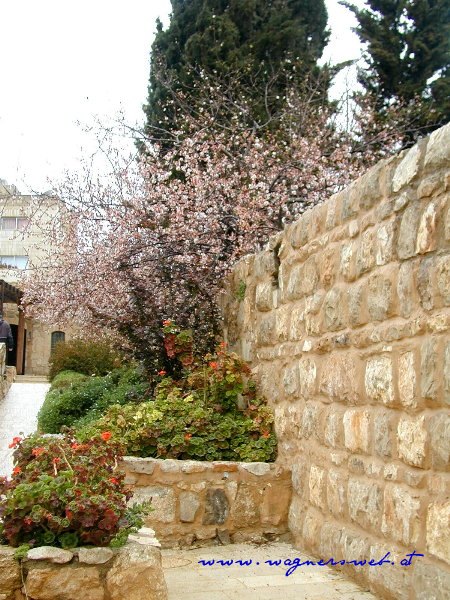 JORDANIEN - Impressionen