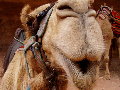 JORDANIEN