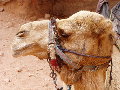 JORDANIEN
