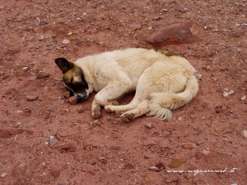 JORDANIEN - Impressionen