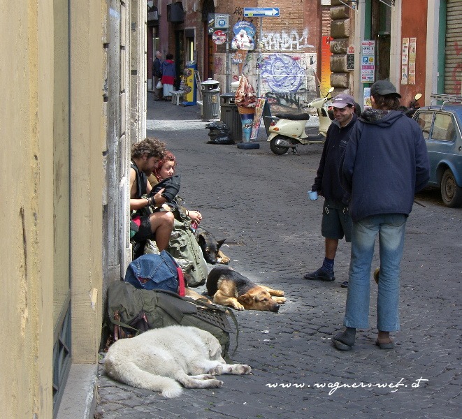ROM Nicht Alle geh&ouml;ren zu den Reichen und Sch&ouml;nen