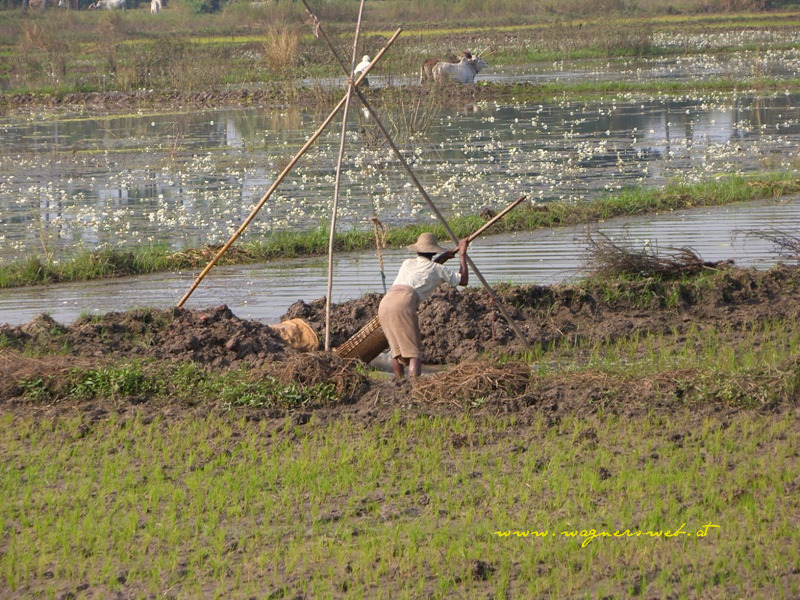 burma - myanmar