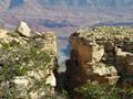 usa - grand canyon