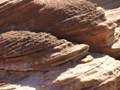 Horseshoe Bend - Lake Powell