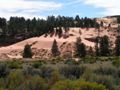 red canyon - bryce canyon
