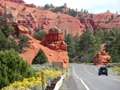red canyon - bryce canyon