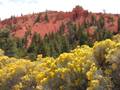 red canyon - bryce canyon