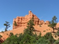 red canyon - bryce canyon