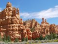 red canyon - bryce canyon