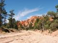 red canyon - bryce canyon