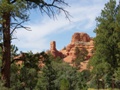 red canyon - bryce canyon