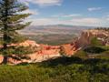 red canyon - bryce canyon
