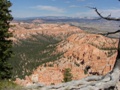 red canyon - bryce canyon