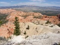 red canyon - bryce canyon