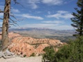 red canyon - bryce canyon