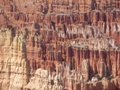 red canyon - bryce canyon
