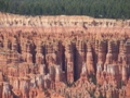 red canyon - bryce canyon