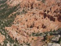 red canyon - bryce canyon
