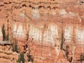 red canyon - bryce canyon