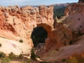 red canyon - bryce canyon