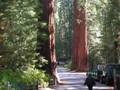 yosemite np - jamestown - modesto
