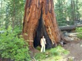 yosemite np - jamestown - modesto