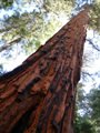 yosemite np - jamestown - modesto