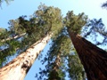 yosemite np - jamestown - modesto