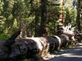 yosemite np - jamestown - modesto