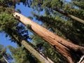 yosemite np - jamestown - modesto